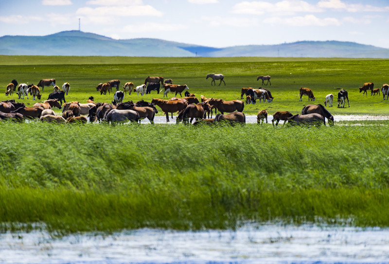 内蒙古，感受大草原的温暖日常