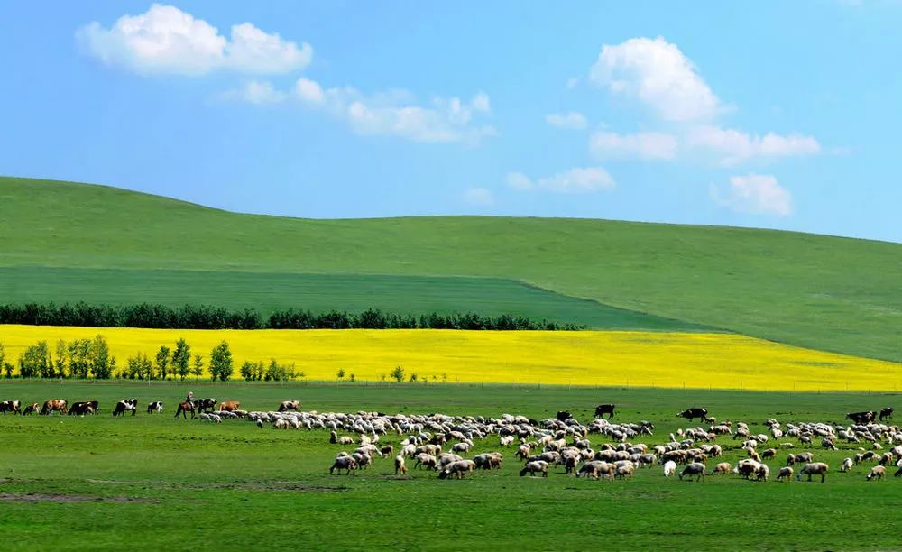 内蒙古,感受大草原的温暖日常