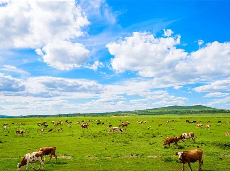 内蒙古,感受大草原的温暖日常