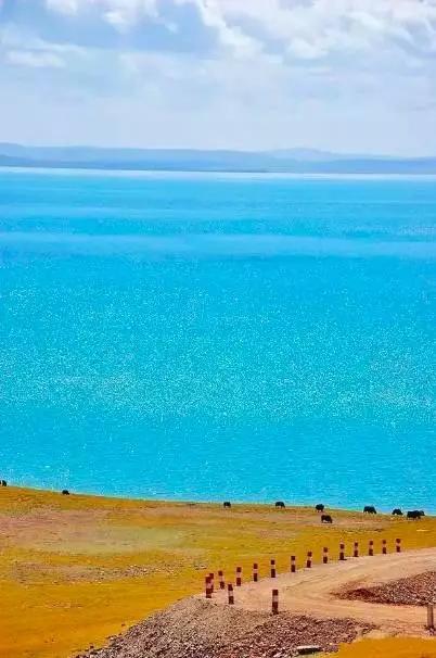 探索青海，高原秘境的壮丽之旅