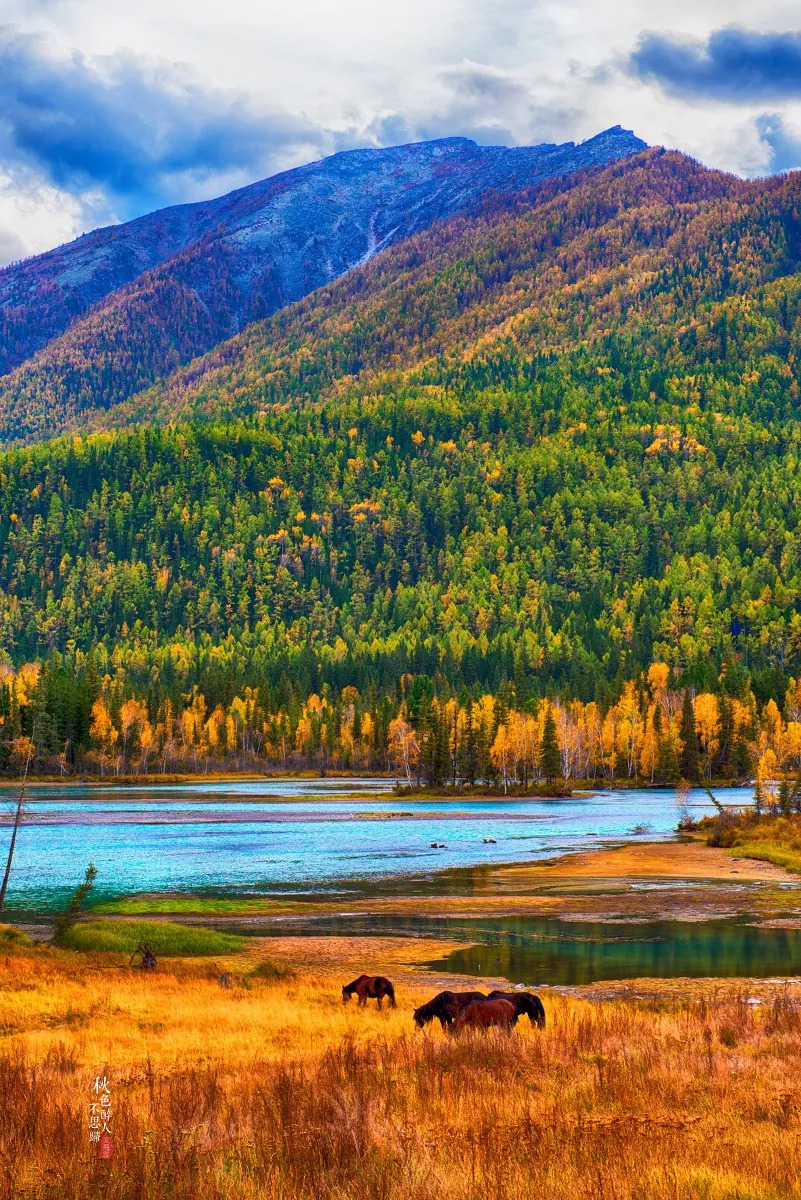 新疆，多元文化交融与和谐共生的魅力之地